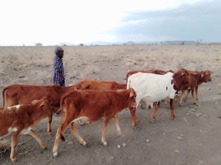 IMG_20220906_170851_105